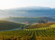 Tablas Creek Vineyard